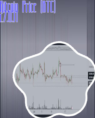 Btc pricw
