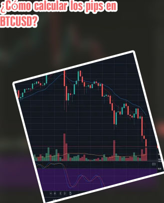 Btc usd pips