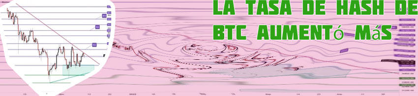 Btc usdt rate