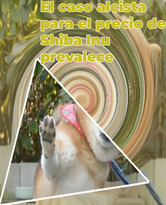 Shiba inu precio